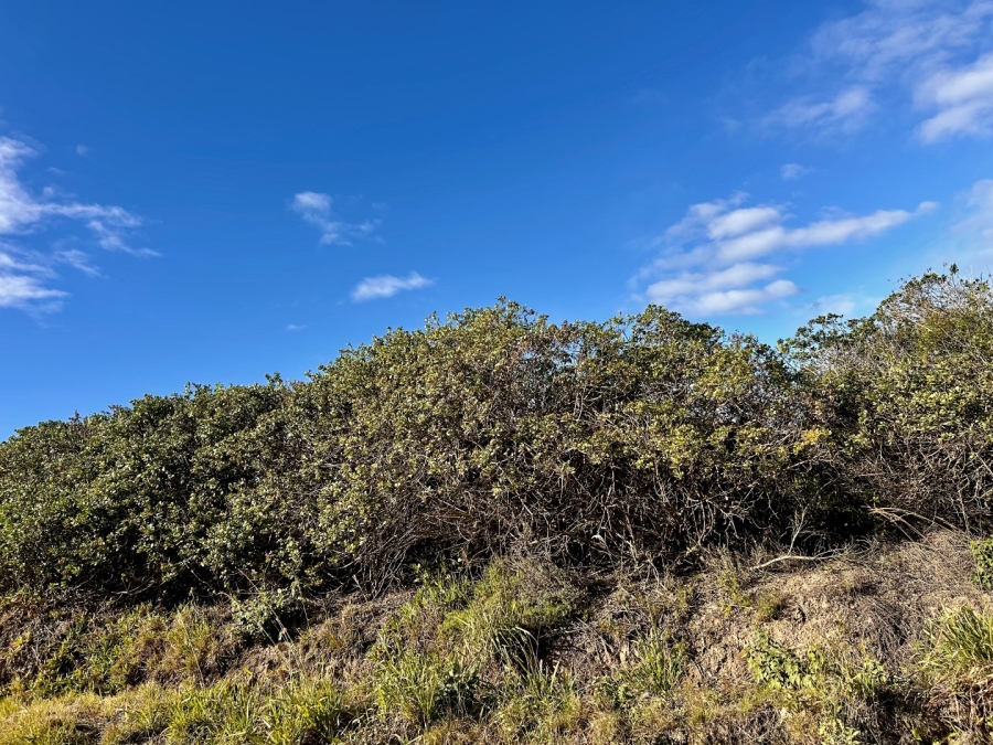 0 Bedroom Property for Sale in Forest Downs Eastern Cape